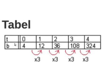 Hoe maak je een formule bij een exponentieel verband